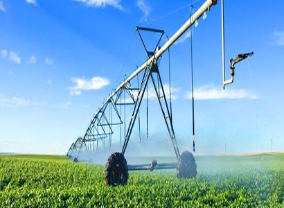 agriculture